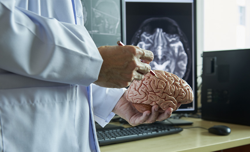 cerebro