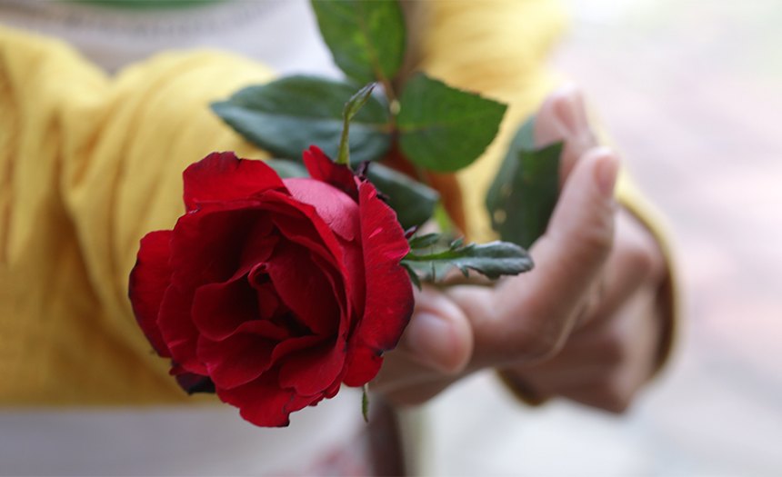 Rosa