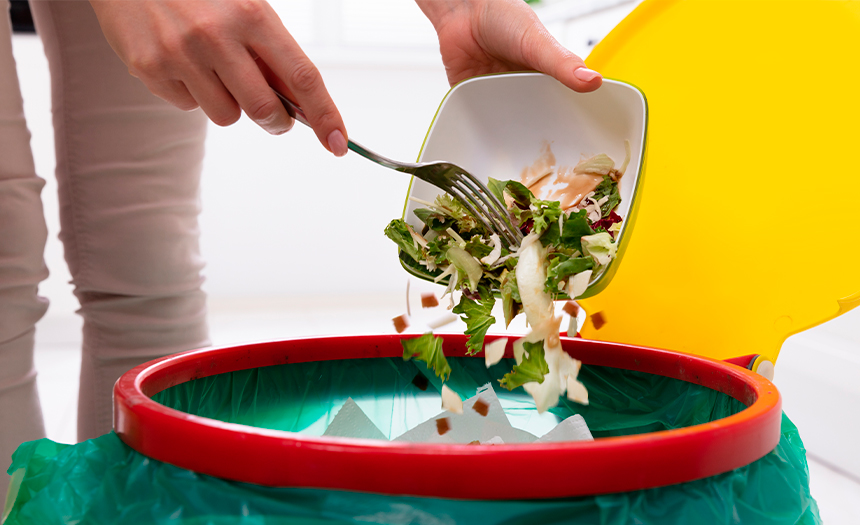 no desperdiciar alimentos
