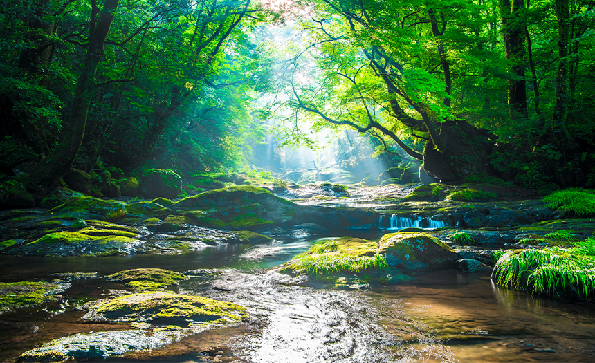 Río de Aguas Vivas