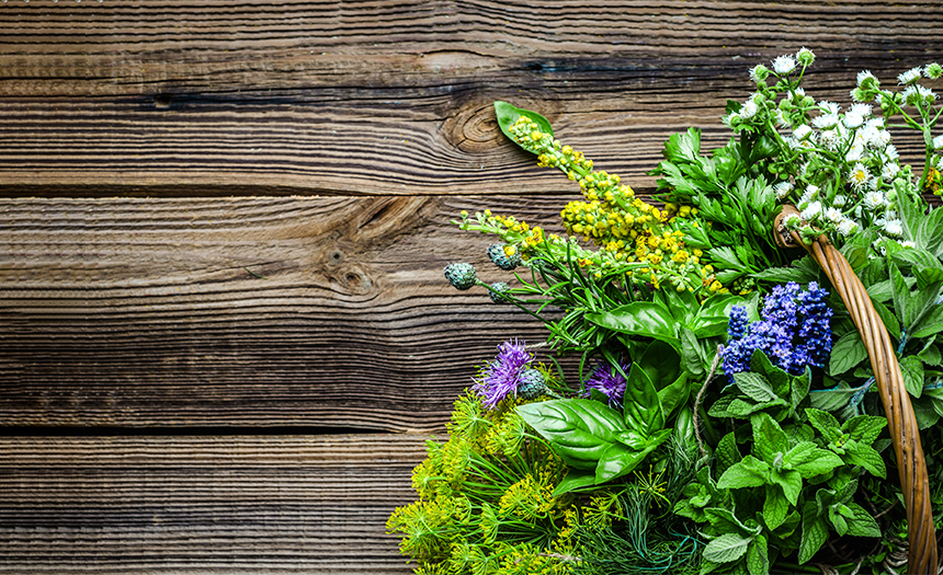 flores comestibles