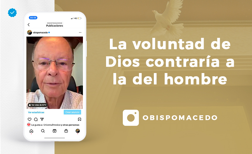voluntad