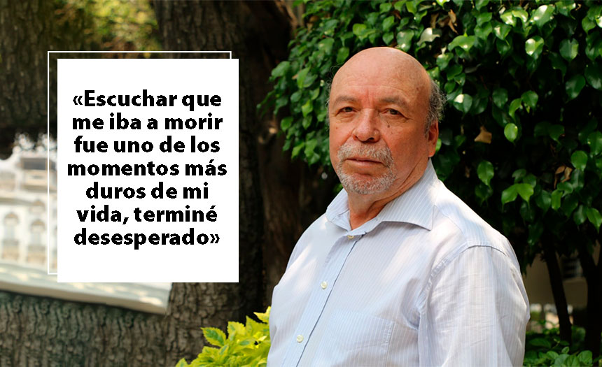 8 meses
