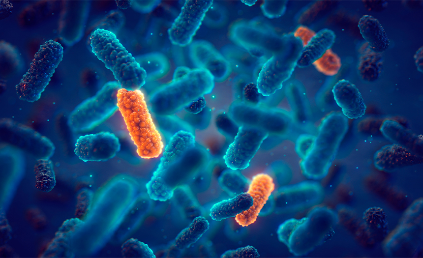 bacterias