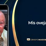 ovejas