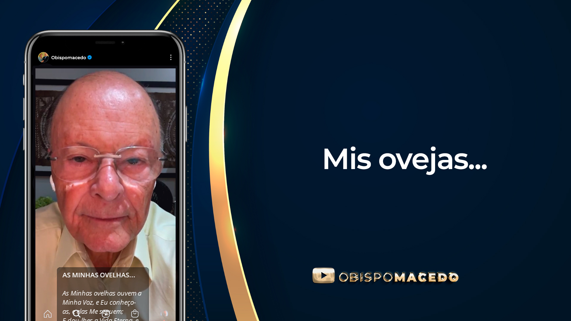 ovejas